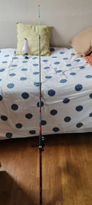 Caña de pesca Boat Fisher con carrete