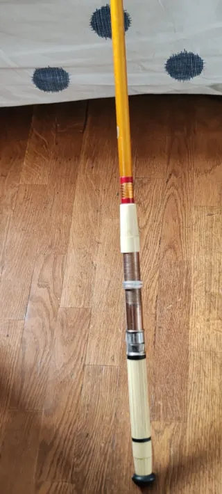 Caña de pesca Boat Fisher con carrete