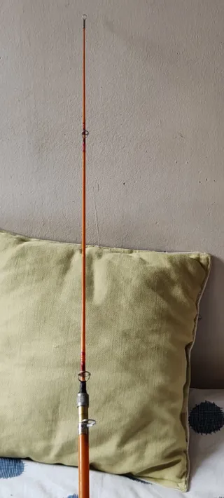 Caña de pesca Boat Fisher con carrete