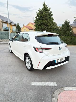 Toyota Corolla 2019