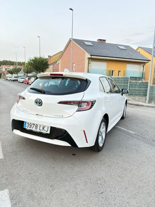 Toyota Corolla 2019