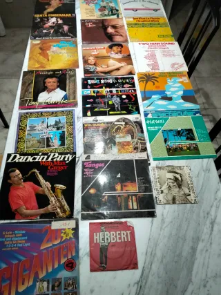 Lote Vinilos Antiguos Varios Artistas