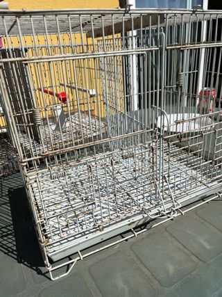 Jaula para pájaros metálica vendo el pack