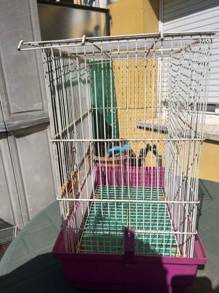 Jaula para pájaros metálica vendo el pack
