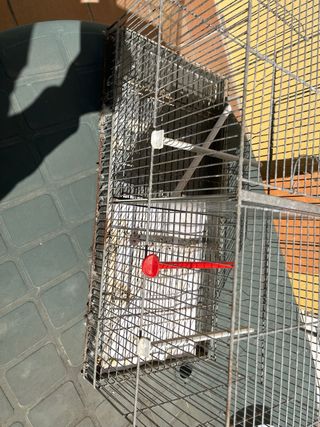 Jaula para pájaros metálica vendo el pack