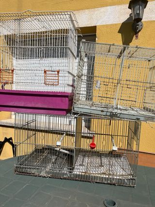 Jaula para pájaros metálica vendo el pack