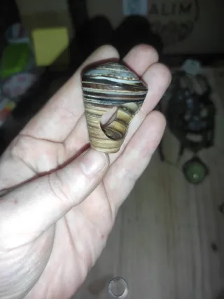 Anillo con diseño espiral