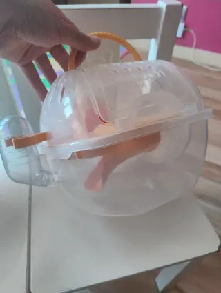¡¡¡ TRANSPORTÍN DE VIAJE PARA HAMSTER !!!