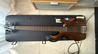 Bajo Eléctrico Ibanez Ergodine 5 Cuerdas