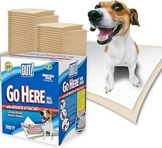 Almohadillas de Entrenamiento per Cani OUT! PetCare (Confezione da 100)