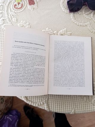 Ditámenes de don Francisco Bergamin