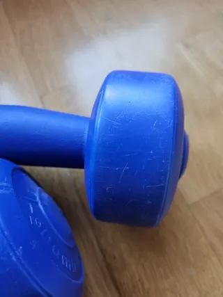 Mancuernas 2 x 1 KG Home Fitness