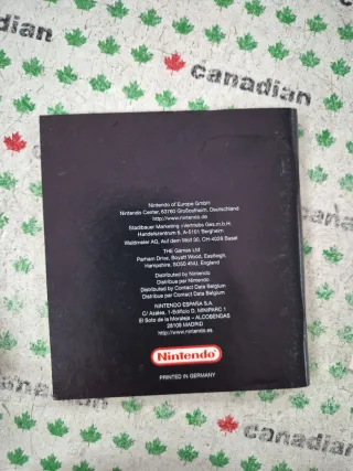 Shadowgate Classic Game Boy Color