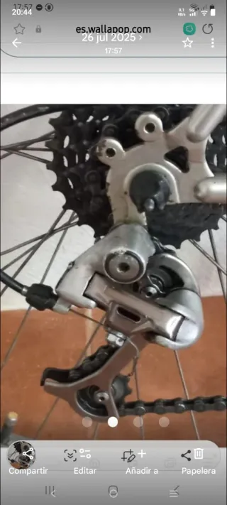 Bicicleta de Montaña