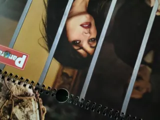 Lotto calendari Panorama max anni 2000