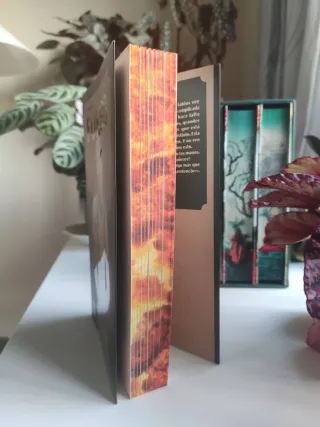 Bomberos de Sky Ridge 1. Fuego