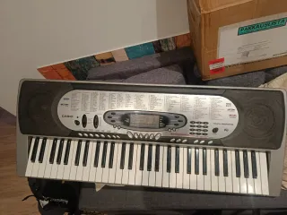 Teclado Casio para principiantes
