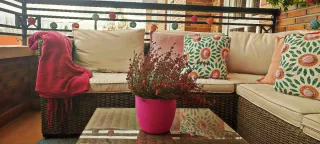 Conjunto esquinero jardín