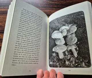 Libro OJOS LLENOS DE ÁRBOLES