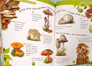 ENCICLOPEDIA ILUSTRADA DE LA NATURALEZA