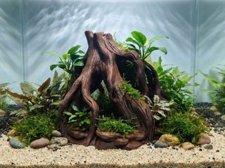 Cueva de Raíz para terrario