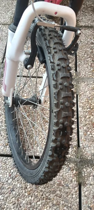 Bicicleta Megamo Junior seminueva