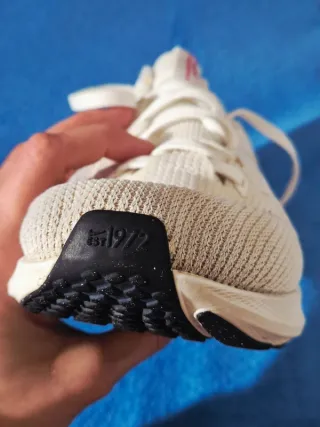 Zapatillas Pegasus 40 Woman (Firma Nike)