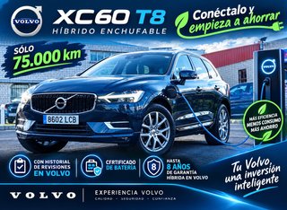 Volvo XC60 T8 Hibrido Enchúfable 4x4 + Techo pano