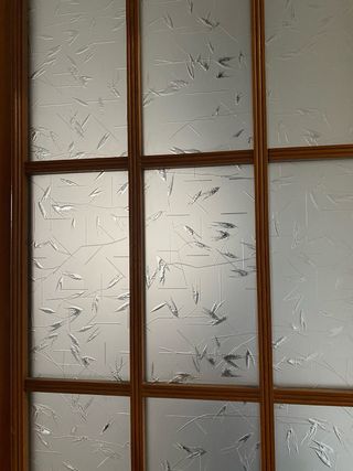 Puerta doble madera con cristalera