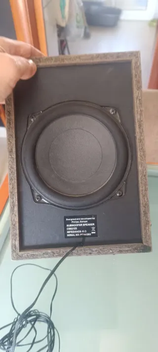 Subwoofer Philips Negro Pasivo