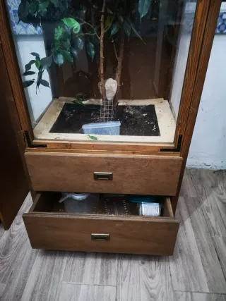 Terrario Rústico Grande