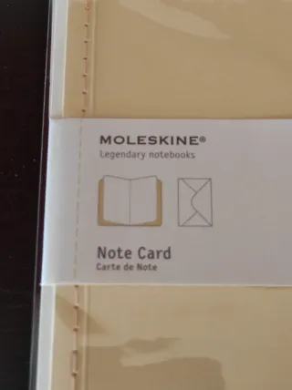 Set 12 Cartoline Moleskine