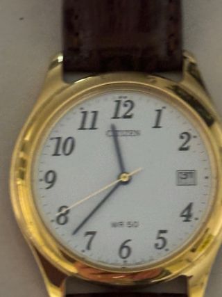 Orologio Citizen color Oro e cinturino in Pelle