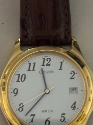 Orologio Citizen color Oro e cinturino in Pelle