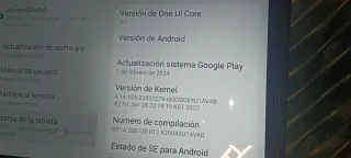 Samsung Galaxy Tab A8 SM-X200