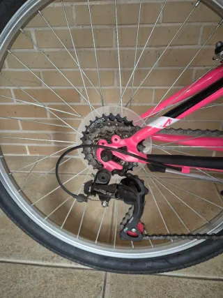 Bicicleta Aurelia Rosa