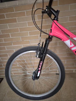 Bicicleta Aurelia Rosa