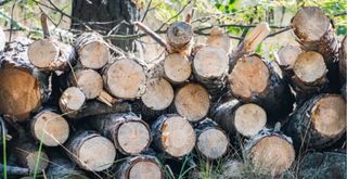 Leña para chimenea o barbacoa