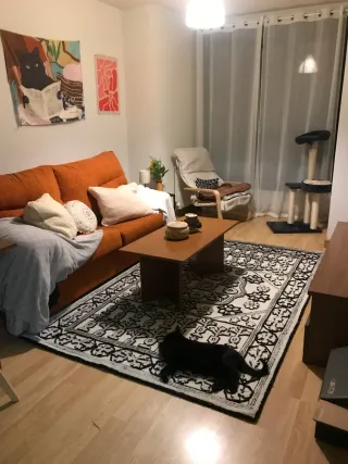Alfombra Anthropologie 152x243cm Lana
