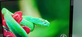 Televisor Sony 55 4K KD-55XF8096