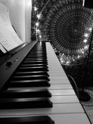 Piano Casio BK (incluye el soporte)