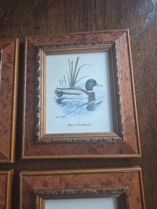 4 Cuadros de Patos 16x18