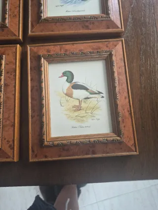 4 Cuadros de Patos 16x18