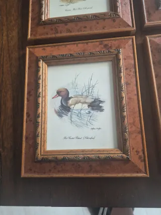 4 Cuadros de Patos 16x18