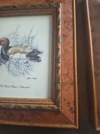 4 Cuadros de Patos 16x18