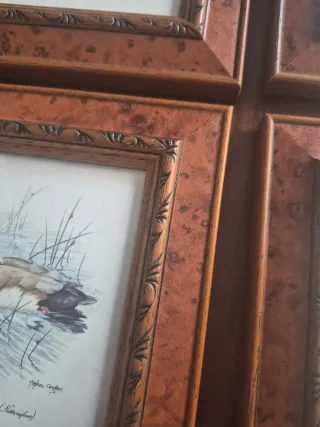 4 Cuadros de Patos 16x18