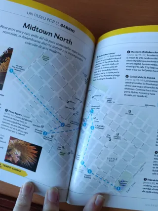 A pie por Nueva York