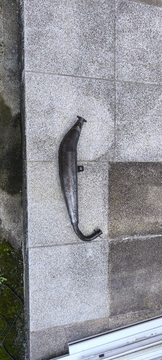 Panza Yasuni Vespino