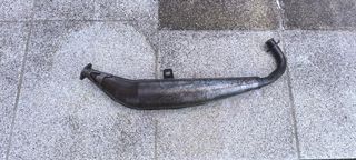 Panza Yasuni Vespino