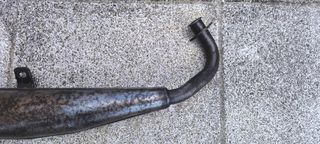 Panza Yasuni Vespino